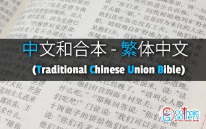 詩篇 章節 – 33 – 中文和合本 – 繁体中文