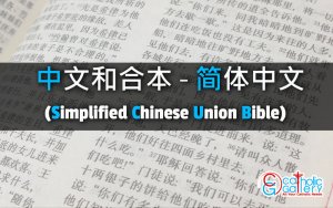 申命记 章节 – 18 – 中文和合本 – 简体中文