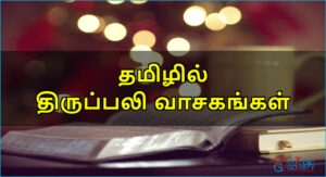 திருப்பலி வாசகங்கள் – மே 24, 2026 – திருவிழிப்புத் திருப்பலி
