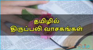 திருப்பலி வாசகங்கள் – ஆகஸ்ட் 6, 2023