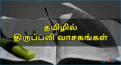 திருப்பலி வாசகங்கள் – ஆகஸ்ட் 20, 2024 – வ2