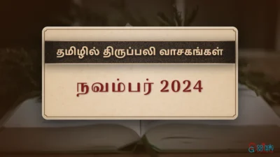 திருப்பலி வாசகங்கள் – நவம்பர், 2024